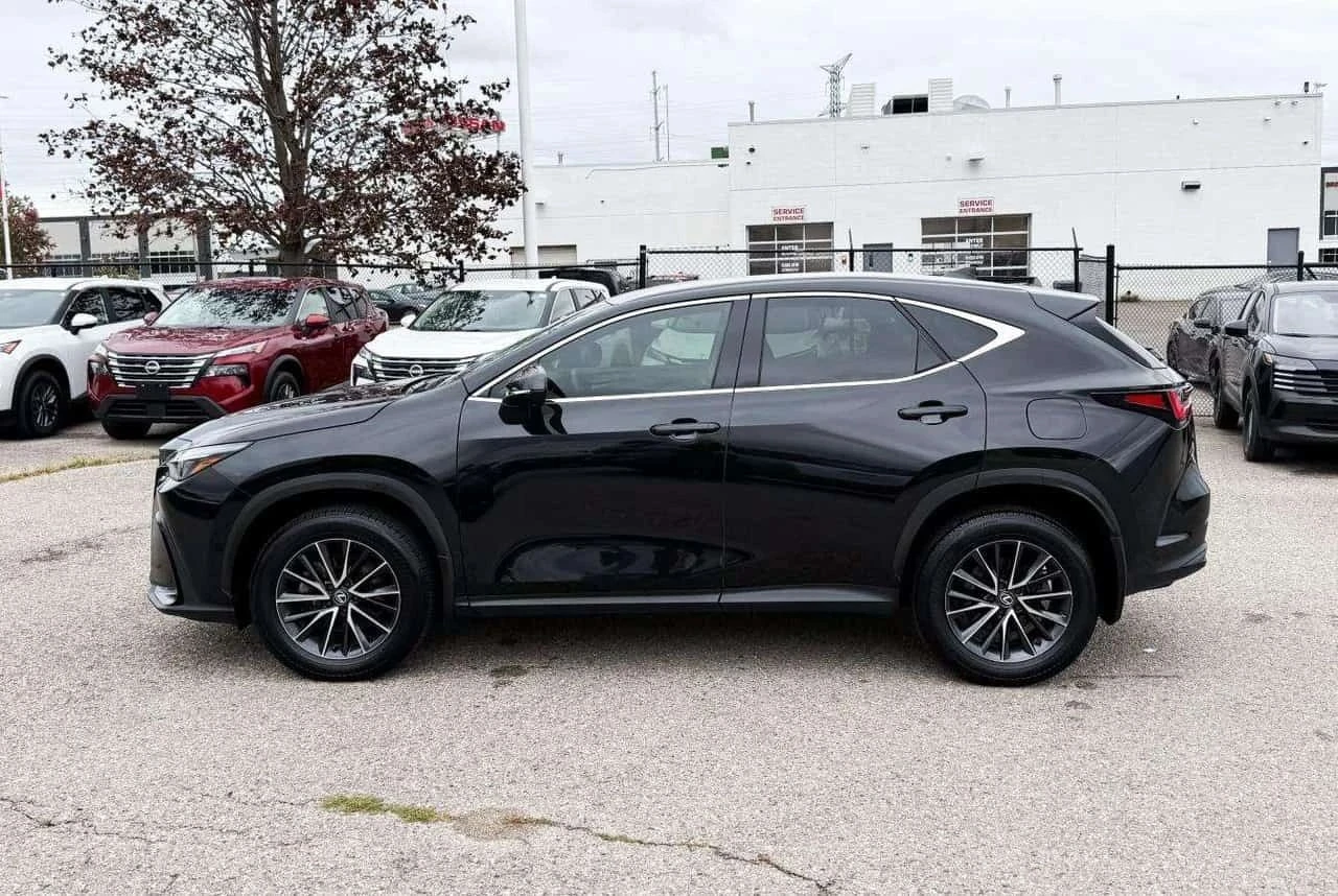 Lexus NX, снимка 4 - Автомобили и джипове - 56730352