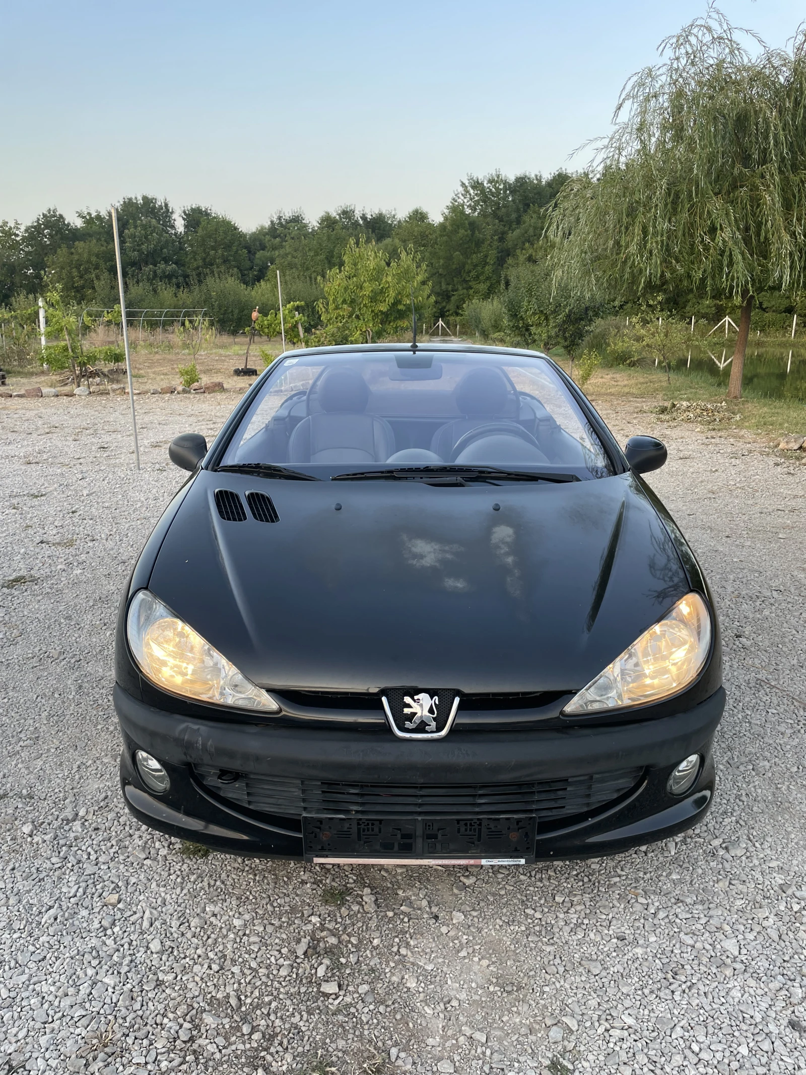 Peugeot 206 CC B&S 1.6, снимка 3 - Автомобили и джипове - 55772094