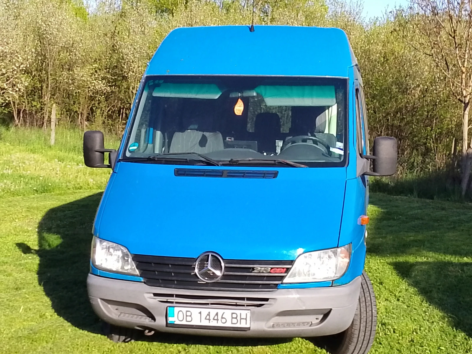Mercedes-Benz Sprinter 313
