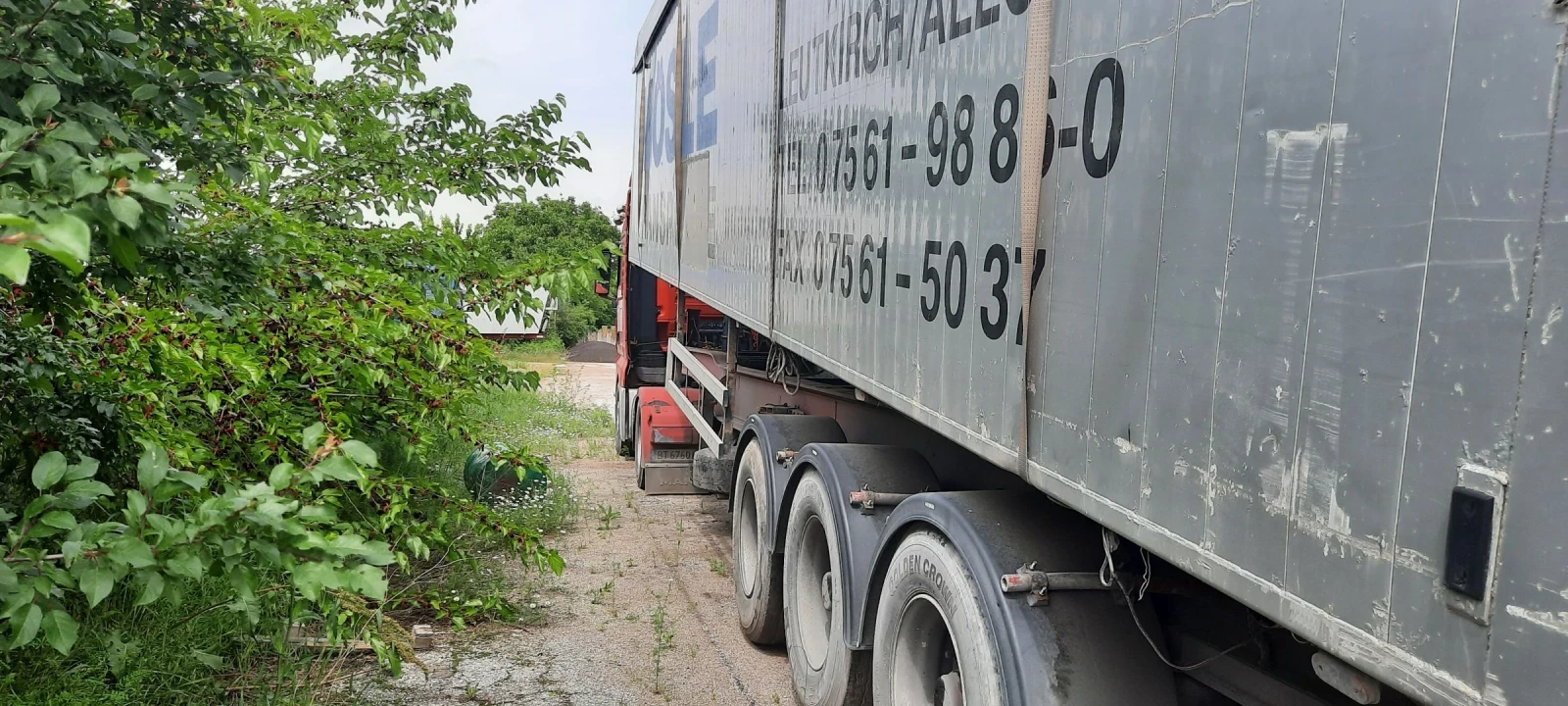 ����������� Benalu �������  | Mobile.bg � ����������� 12