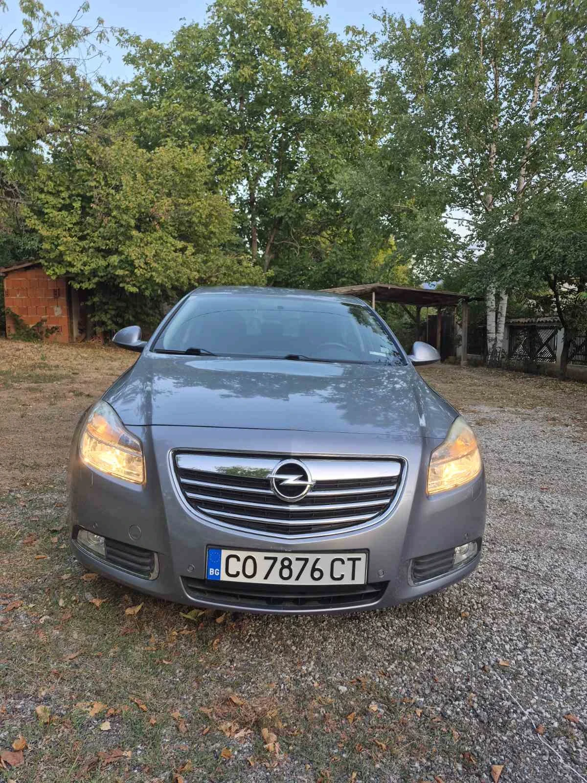 Opel Insignia, снимка 3 - Автомобили и джипове - 55614240