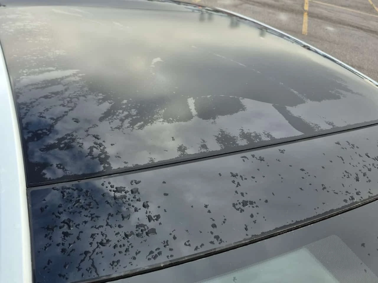 VW Jetta * GLI* CARFAX* ��������* ���������* ��������*  | Mobile.bg � ����������� 6