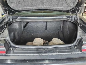 Dodge Challenger SXT| PANORAMA| 2 КЛЮЧА| ПОДГРЕВИ|  | Auto.bg — изображение 13