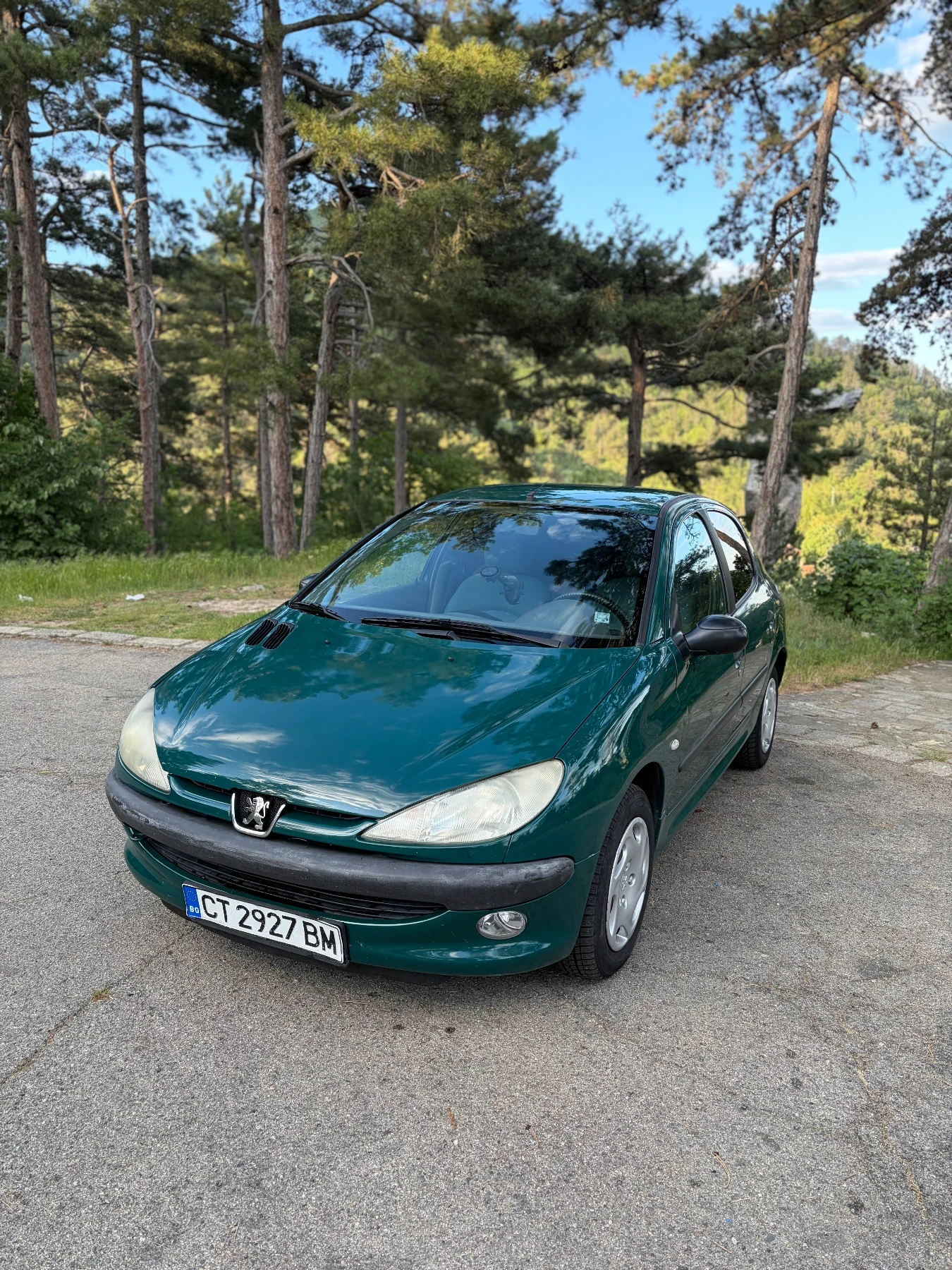 Peugeot 206 1.9 D