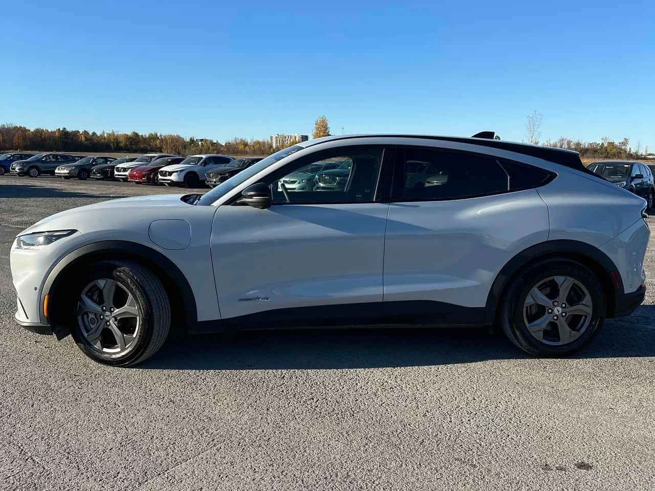 Ford Mustang Mach-E * Select * CARFAX * ���������������� *  | Mobile.bg � ����������� 3
