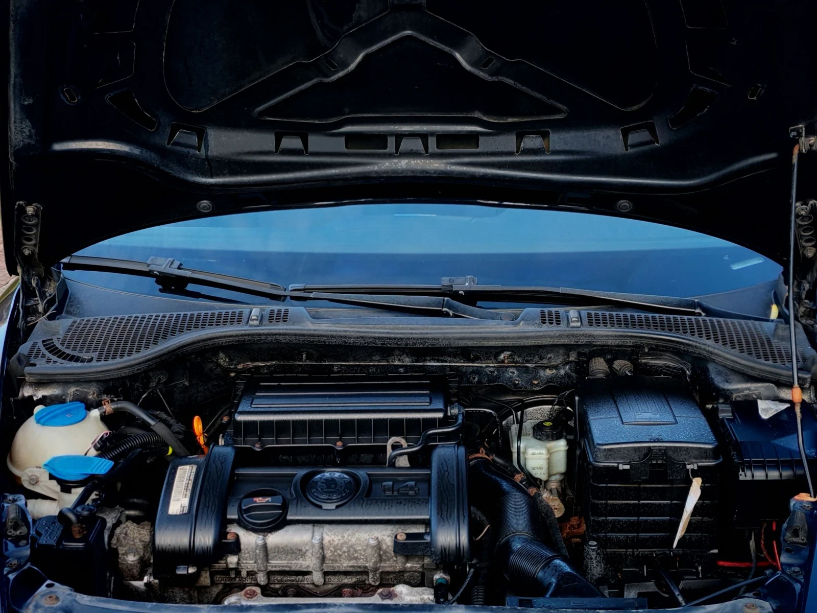 Skoda Octavia 1.4MPI(75)* COMFORT-EDITION*  *  | Mobile.bg   17