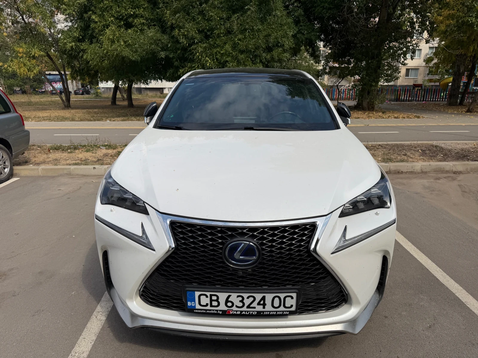 Lexus NX 300h