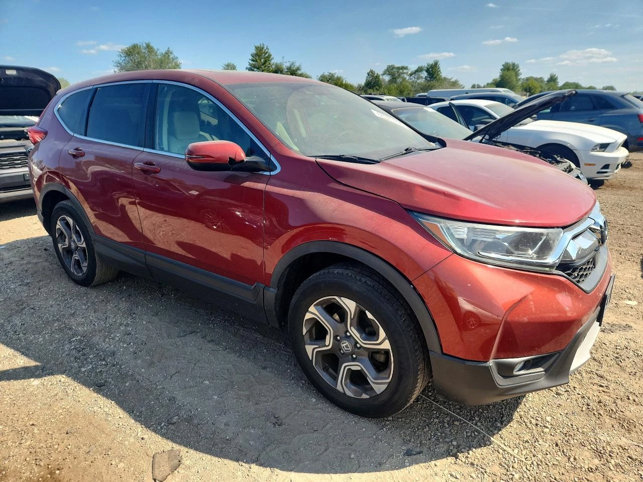 Honda Cr-v 1.5l Ex, снимка 4 - Автомобили и джипове - 56145889