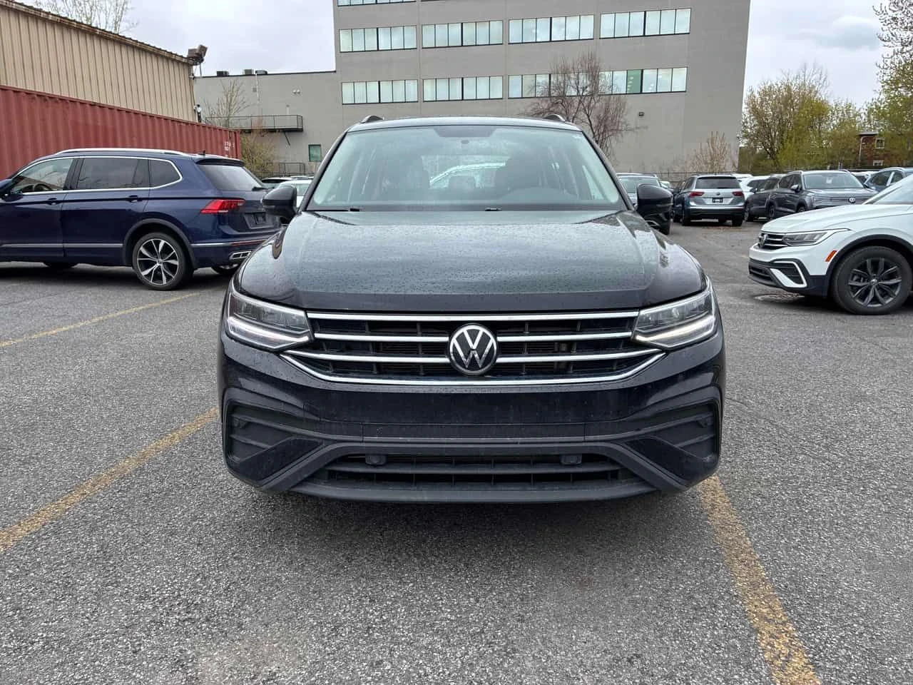 VW Tiguan Trendline /CARFAX/CAMERA/ПОДГРЕВИ, снимка 6 - Автомобили и джипове - 54528746