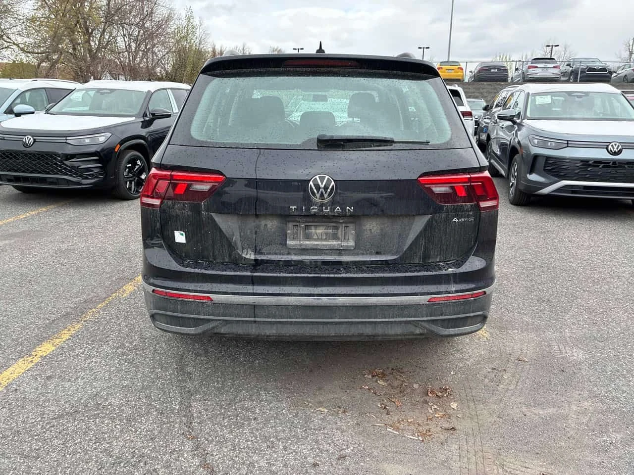 VW Tiguan Trendline /CARFAX/CAMERA/ПОДГРЕВИ, снимка 4 - Автомобили и джипове - 54528746