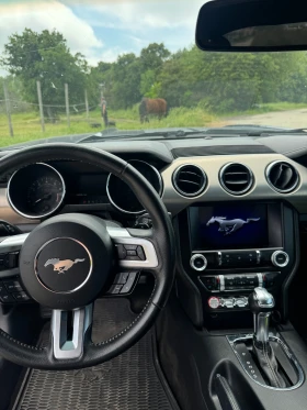 Ford Mustang 5.0  - 23000 € - 74959271 11