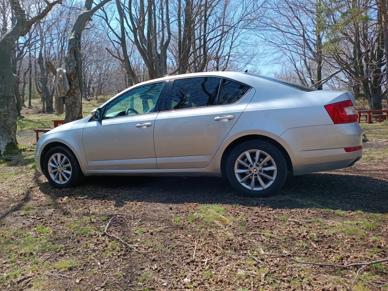 Skoda Octavia, снимка 16 - Автомобили и джипове - 47201024