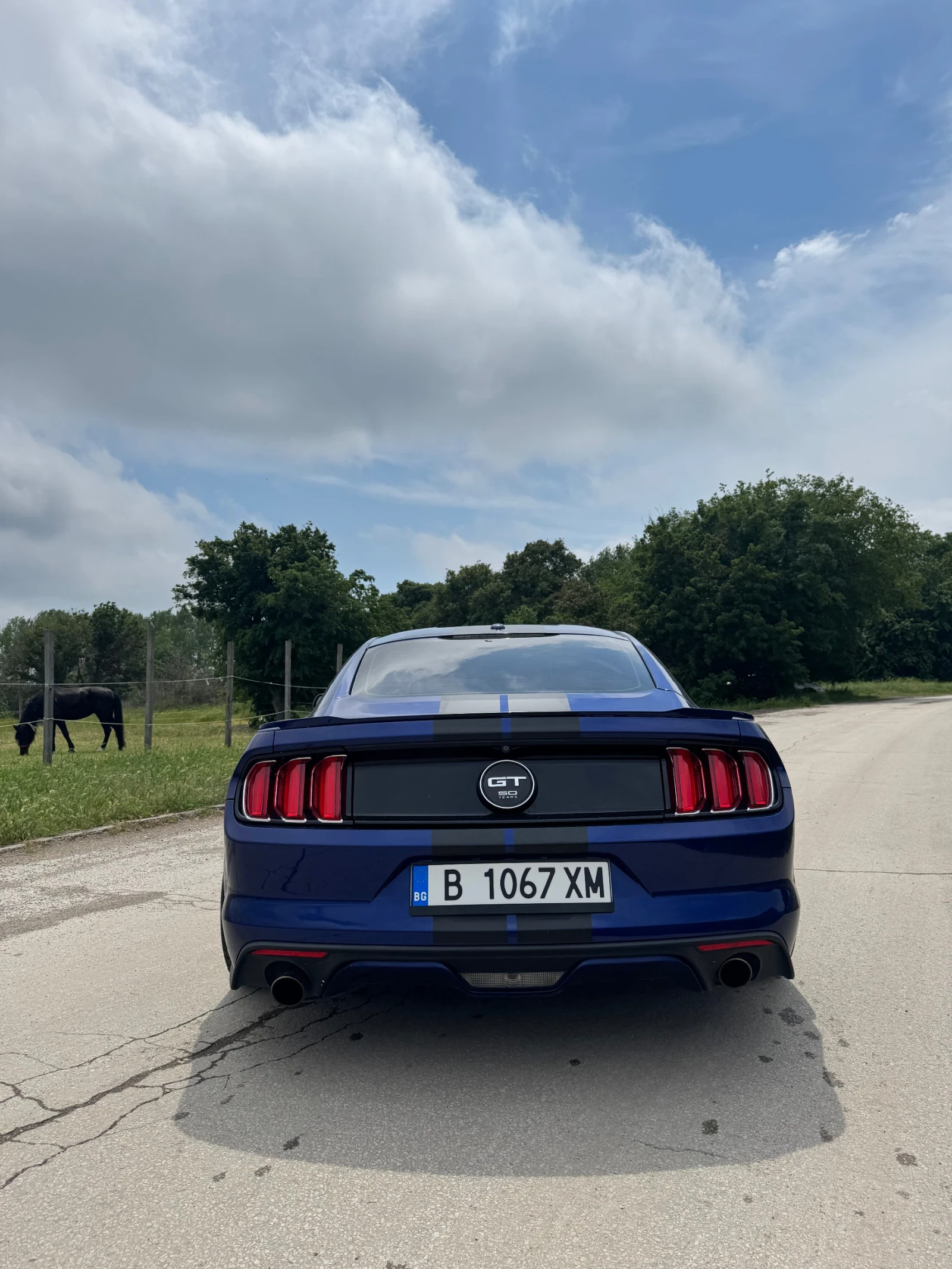 Ford Mustang 5.0 , снимка 6 - Автомобили и джипове - 55989558
