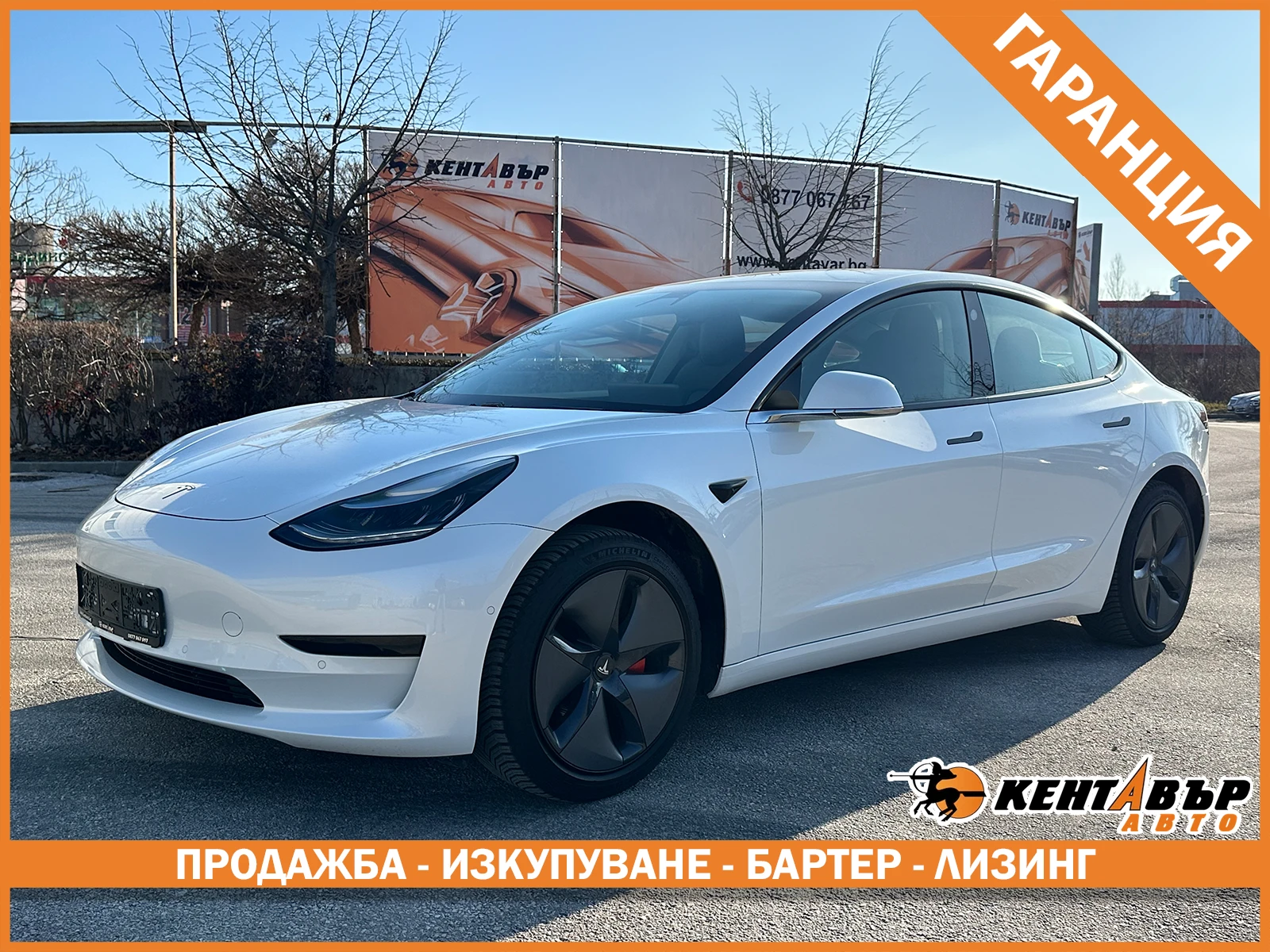 Tesla Model 3 Standart Range/Швейцария/ГАРАНЦИЯ, снимка 1