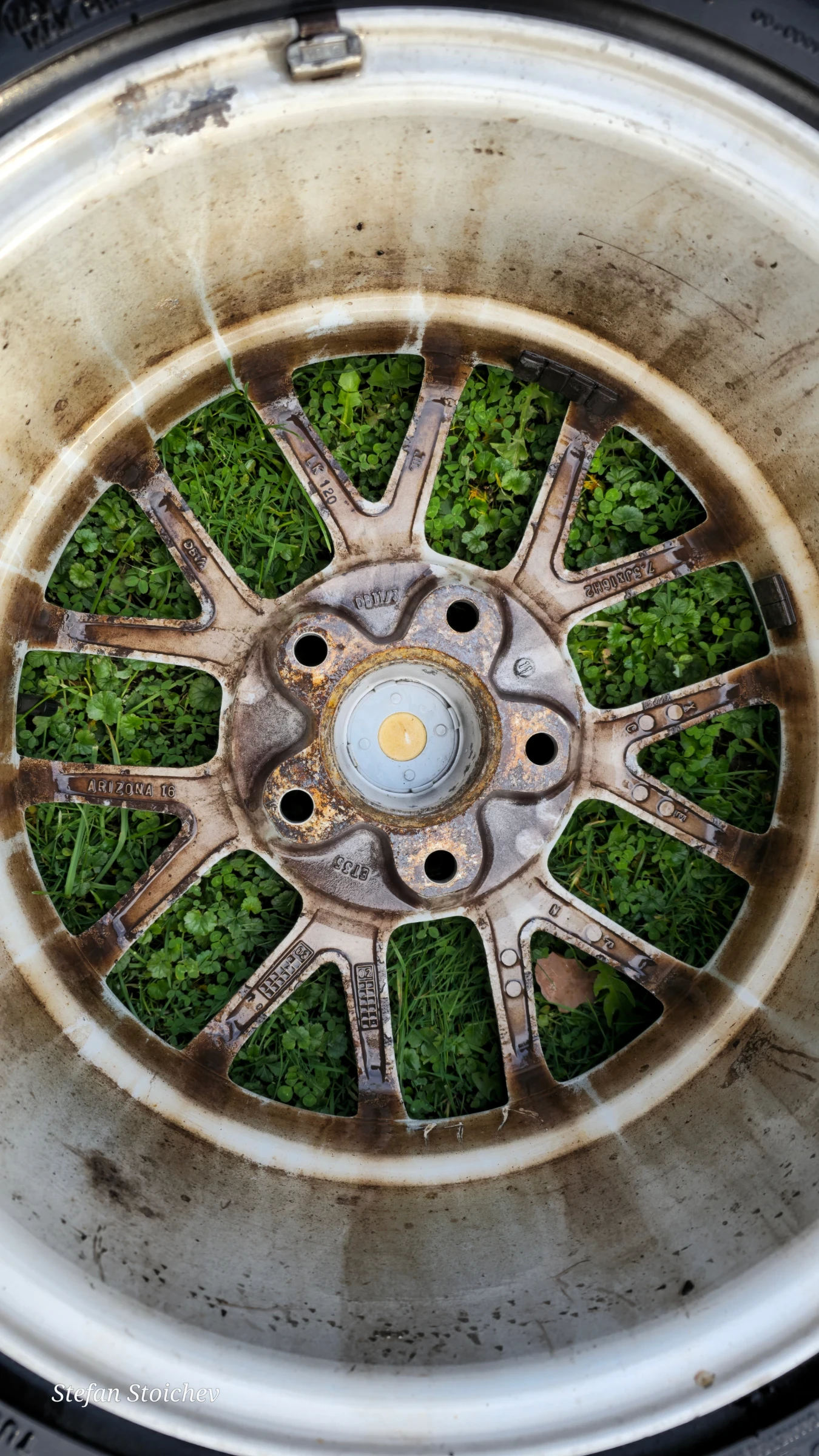 BMW 318 �� �����!!! | Mobile.bg � ����������� 15