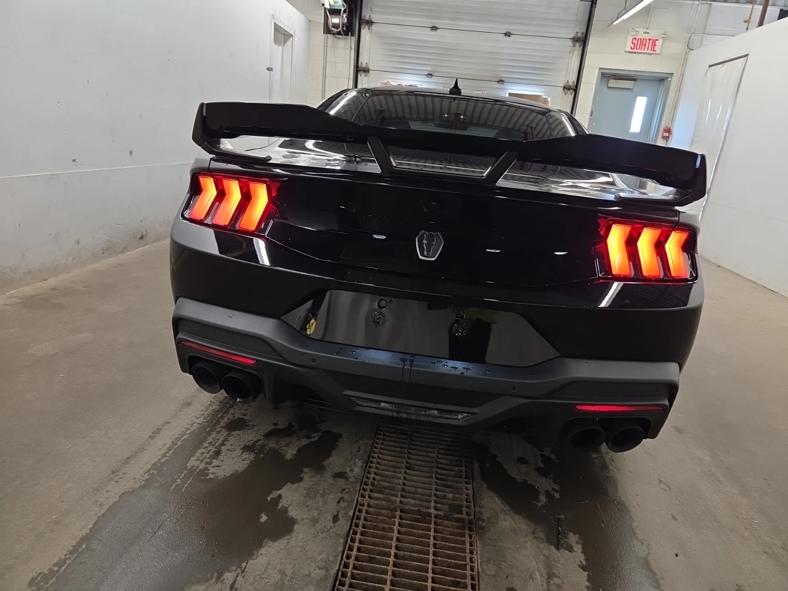 Ford Mustang DARK HORSE, INTAKE, ГЕНЕРАЦИЯ, ПРОГНОЗНА ЦЕНА до Б, снимка 17 - Автомобили и джипове - 55616438