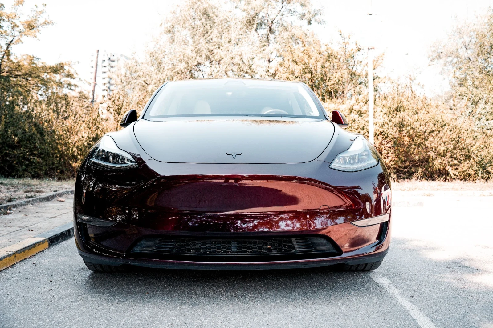 Tesla Model Y Performance , снимка 2 - Автомобили и джипове - 56045762