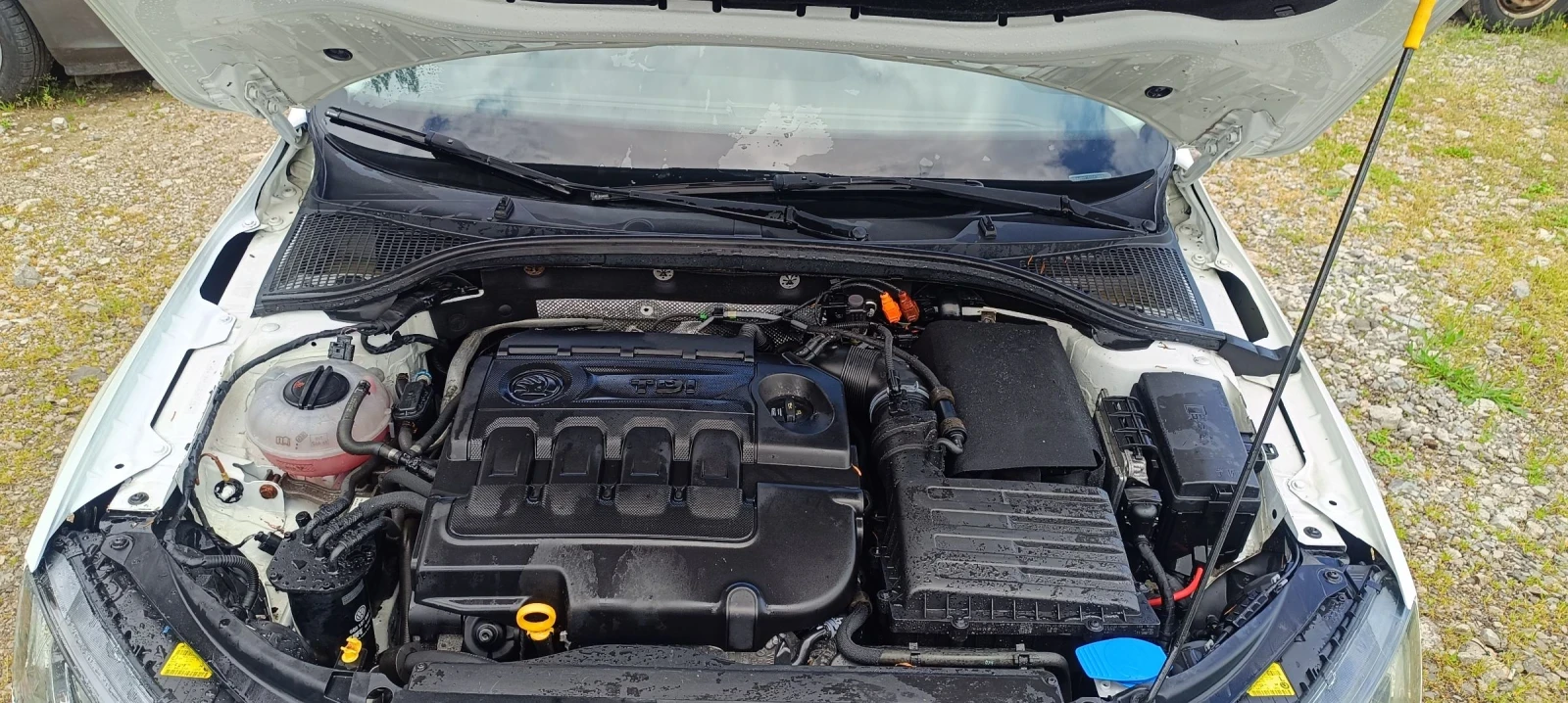 Skoda Octavia 2.0TDI 150k.c DSG avtomat | Mobile.bg � ����������� 15