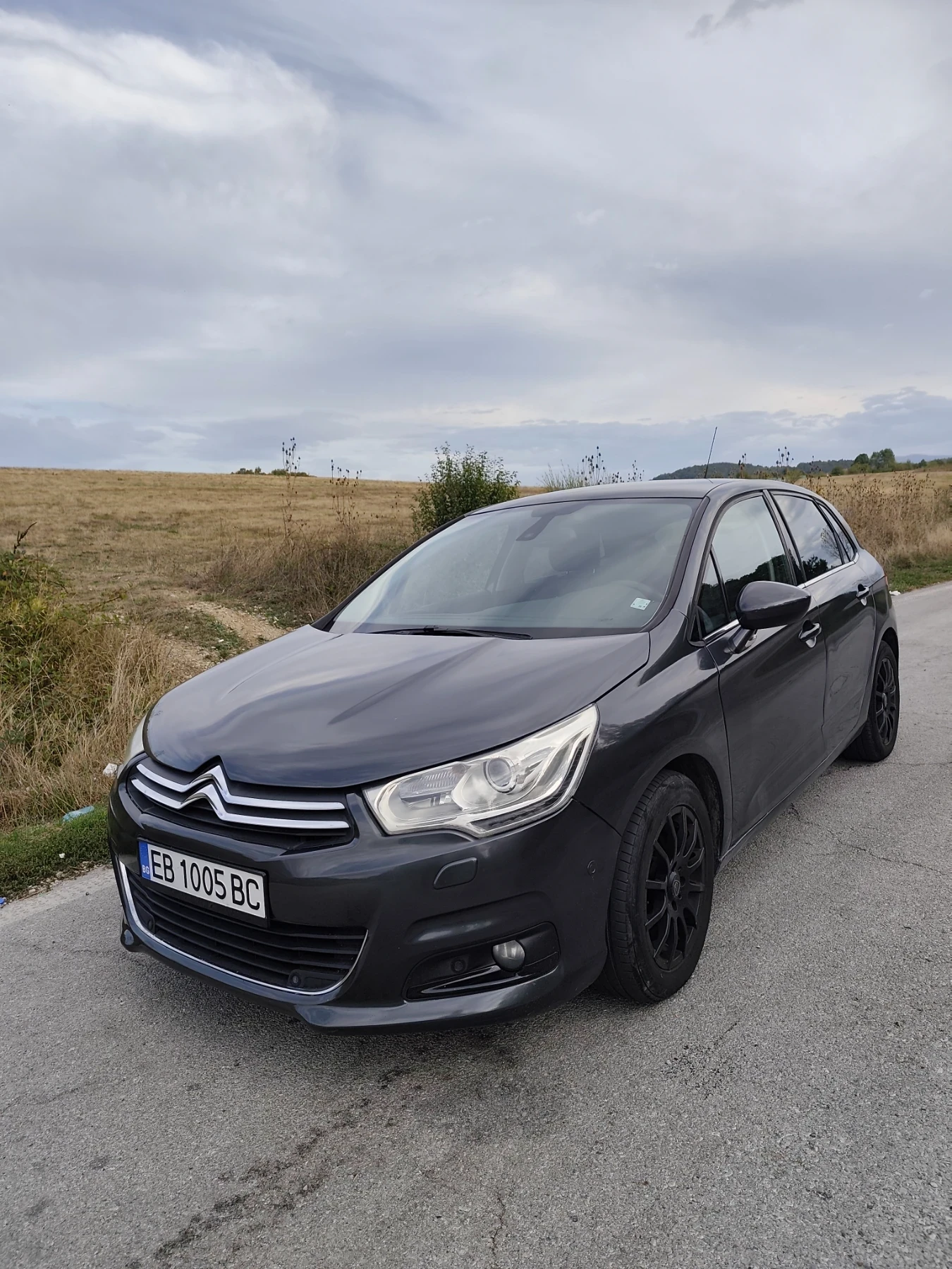 Citroen C4, снимка 5 - Автомобили и джипове - 56259535