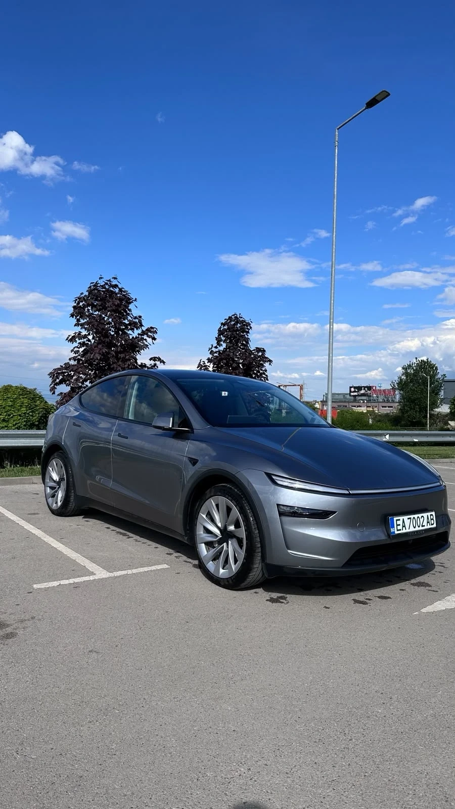 Tesla Model Y Dual Motor/Long Range 