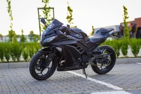 Kawasaki Ninja, снимка 1