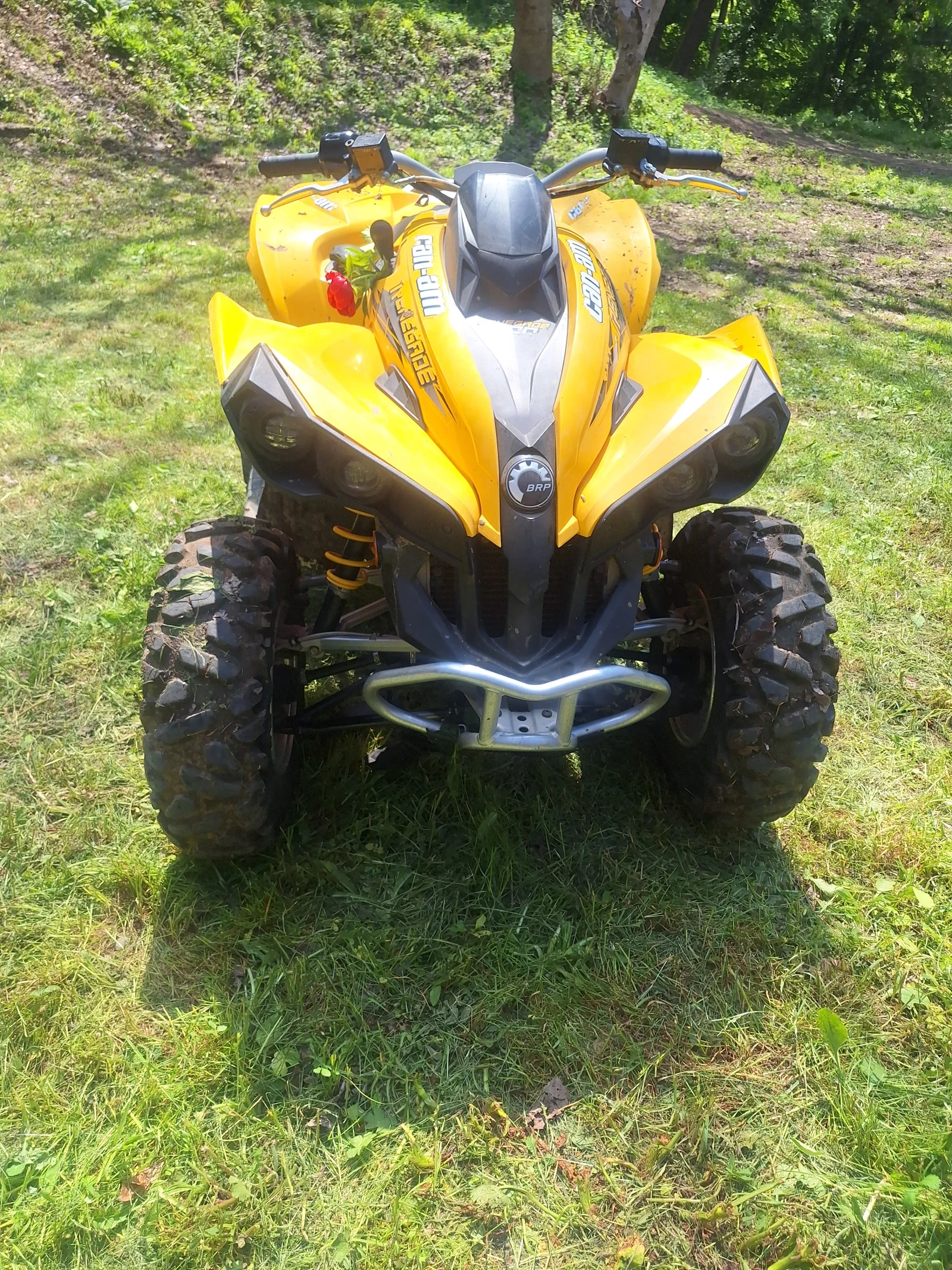 Can-Am Renеgade 500 V TWiN - изображение 8