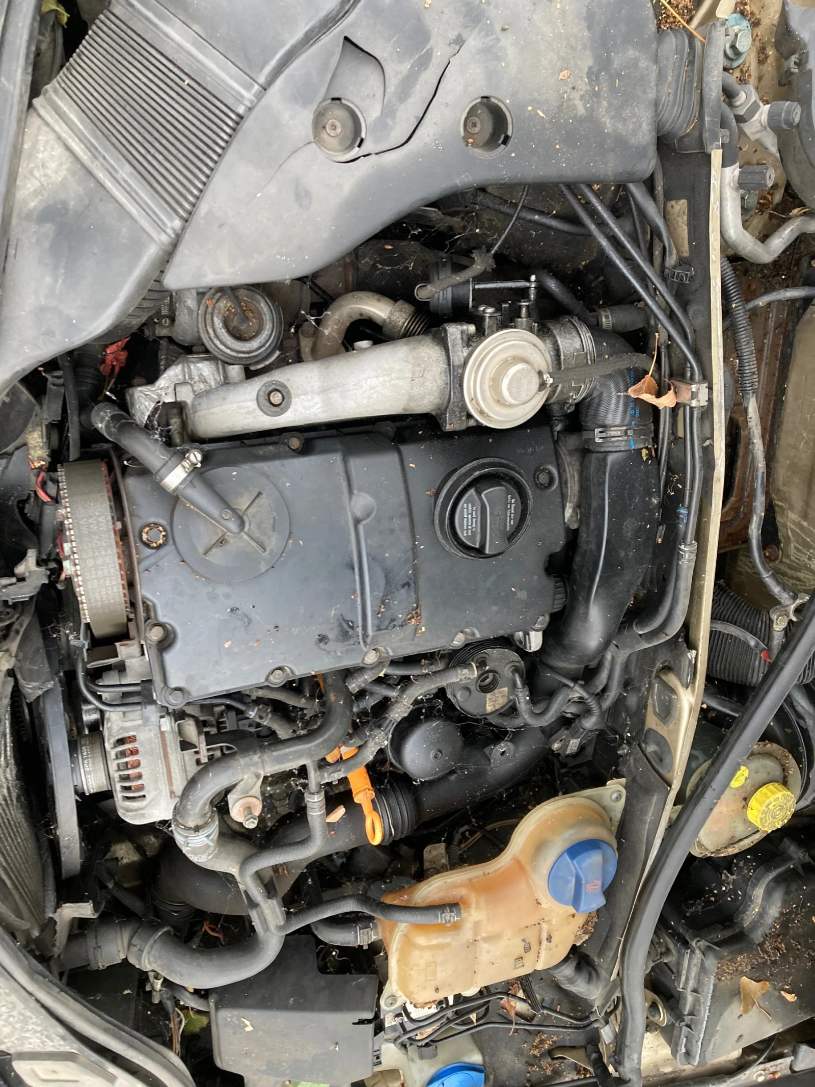 VW Passat  - изображение 3