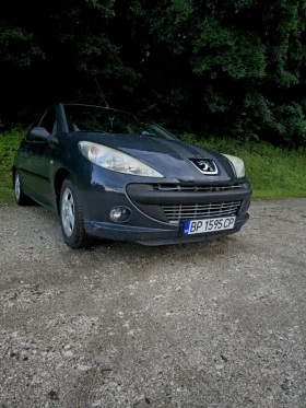 Peugeot 206, снимка 1