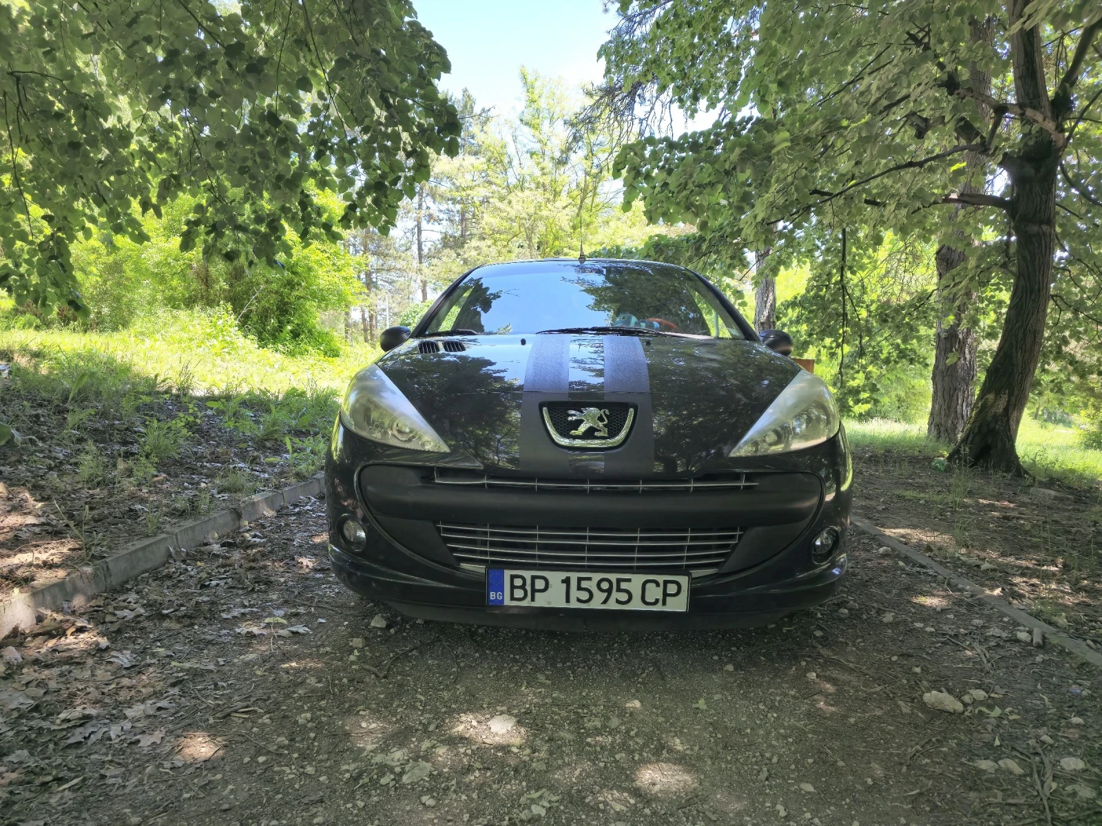 Peugeot 206, снимка 10 - Автомобили и джипове - 54719287