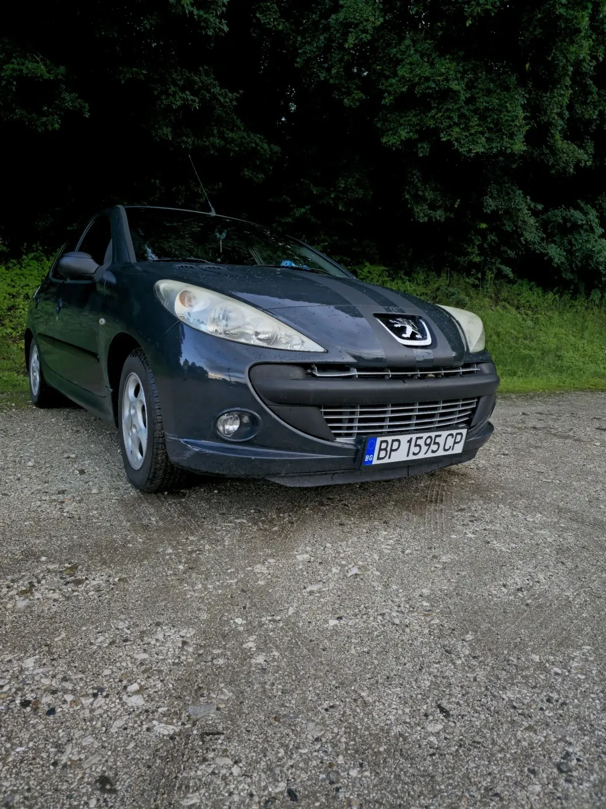 Peugeot 206