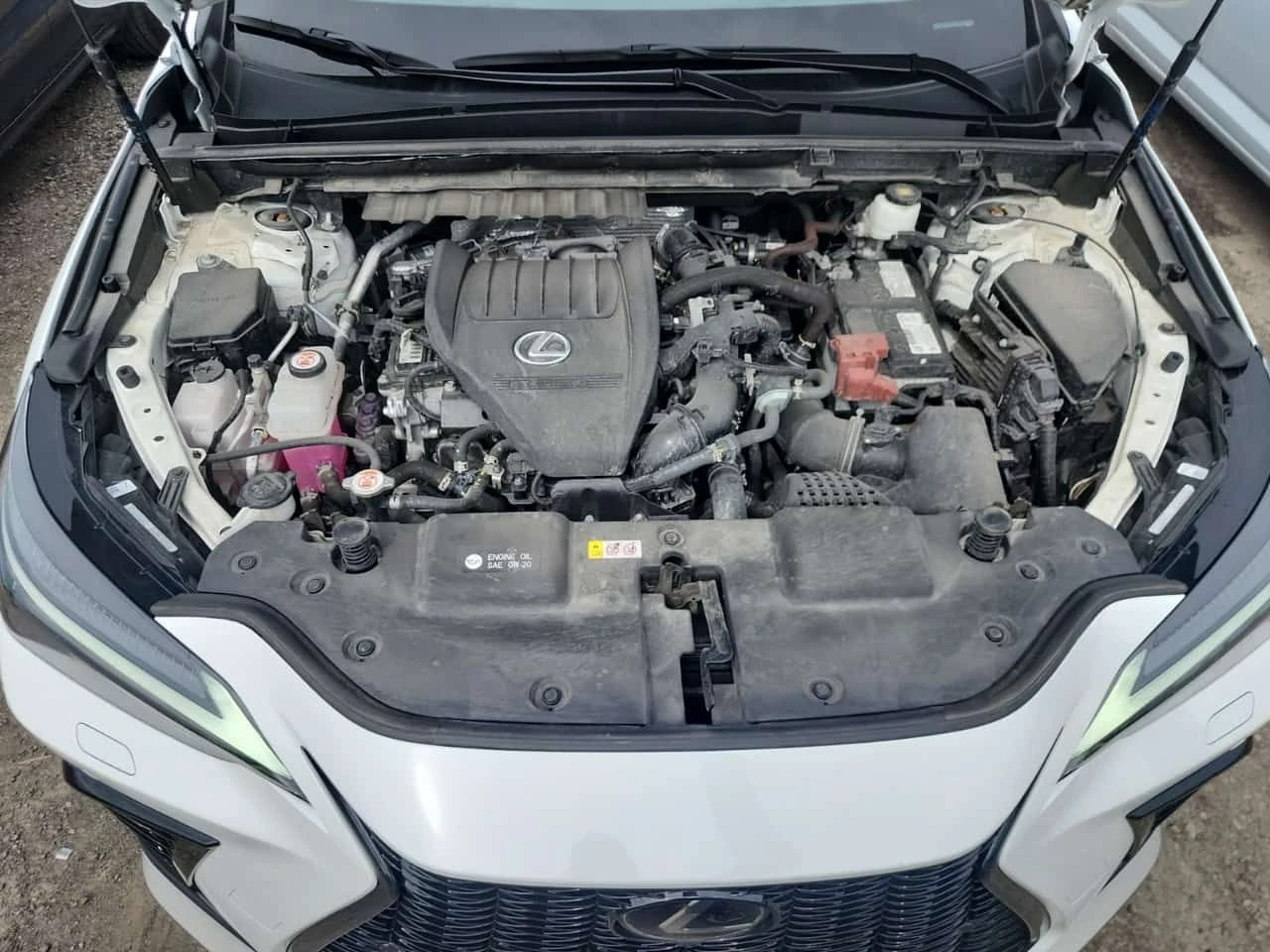 Lexus NX * 350 F-Sport * CARFAX * Без инциденти * , снимка 15 - Автомобили и джипове - 55110031