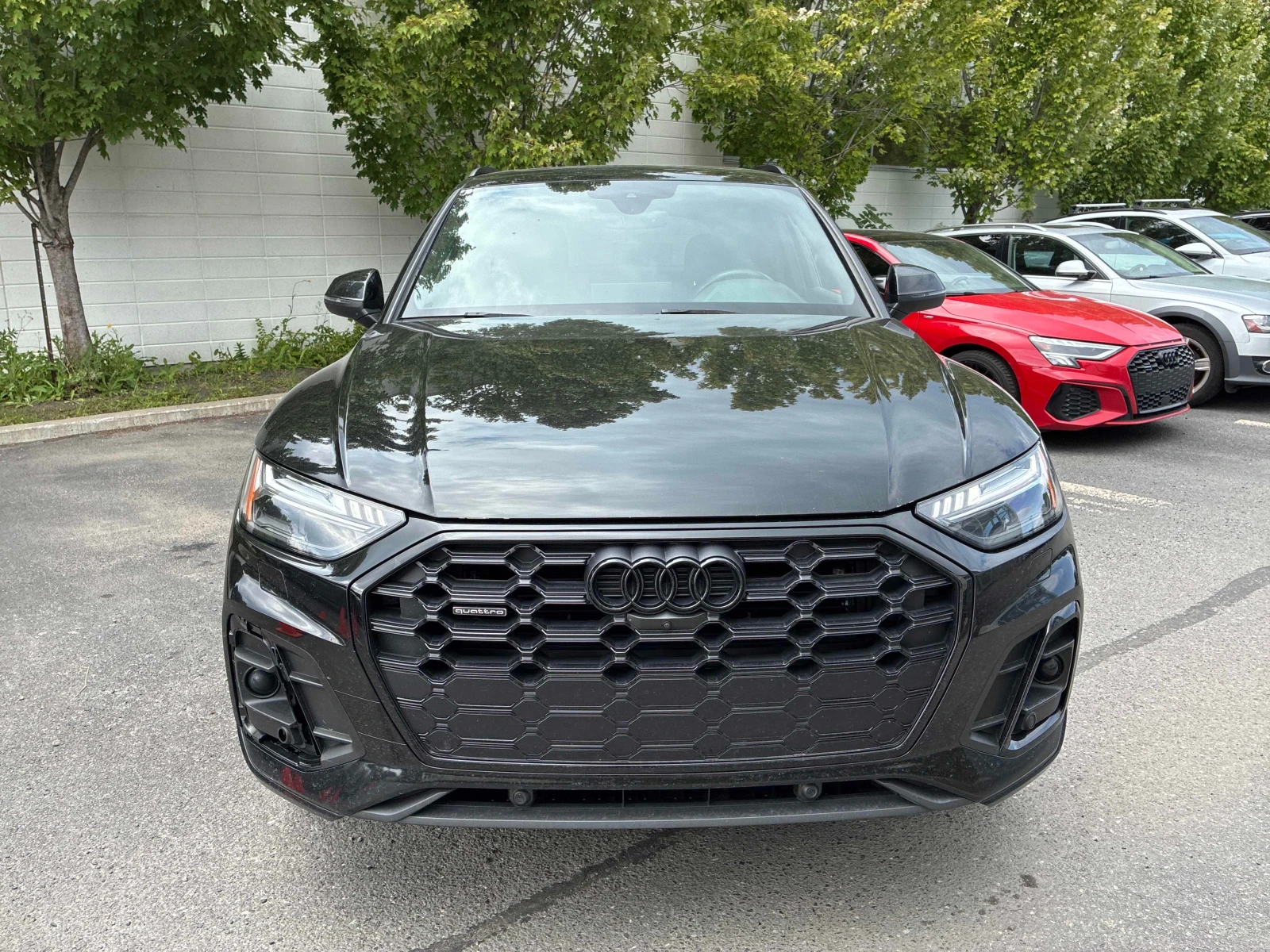 Audi Q5 * Technik * CARFAX * ОПЦИЯ ЗА ФИНАНСИРАНЕ, снимка 6 - Автомобили и джипове - 55839019