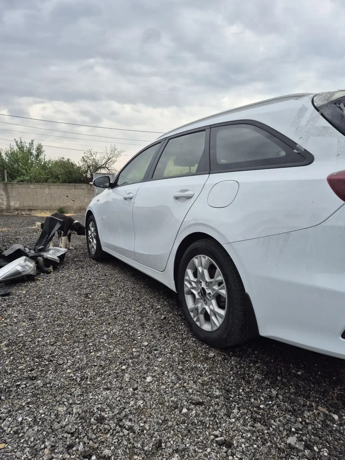 Kia Ceed 1.0T - изображение 3