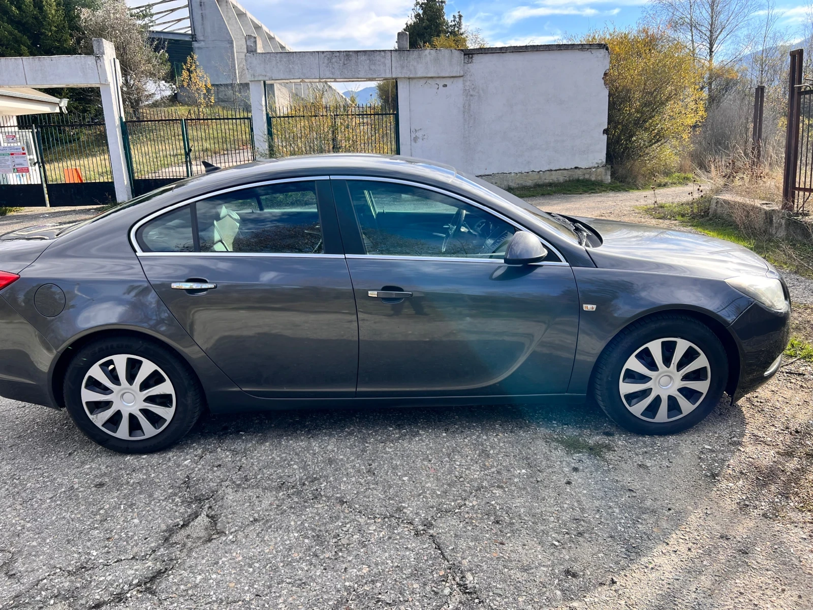 Opel Insignia, снимка 3 - Автомобили и джипове - 54812018