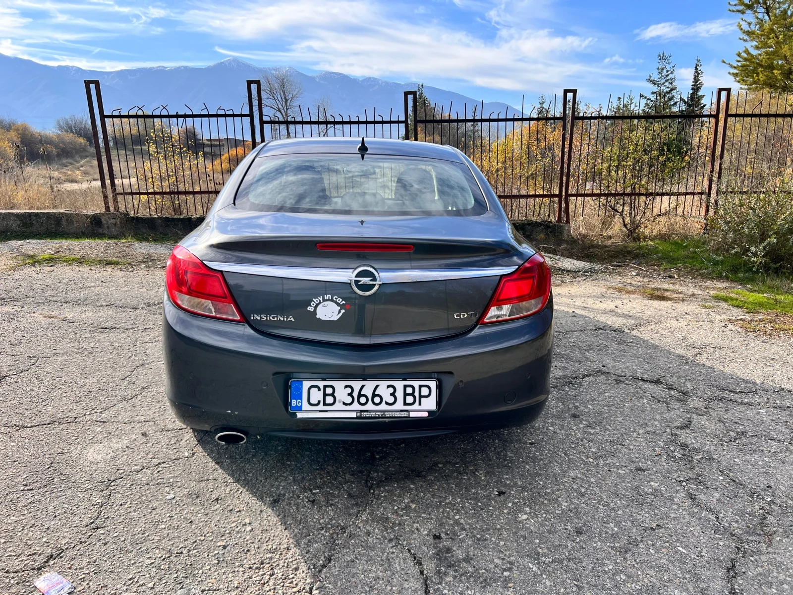 Opel Insignia, снимка 2 - Автомобили и джипове - 54812018