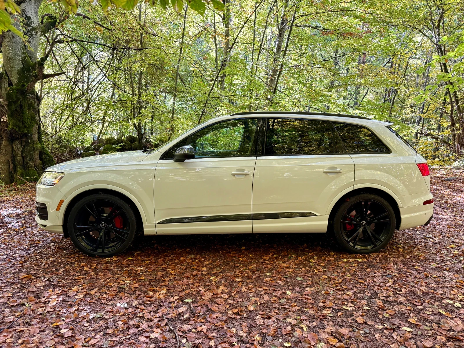 Audi Q7 TECHNIK FULL - изображение 7