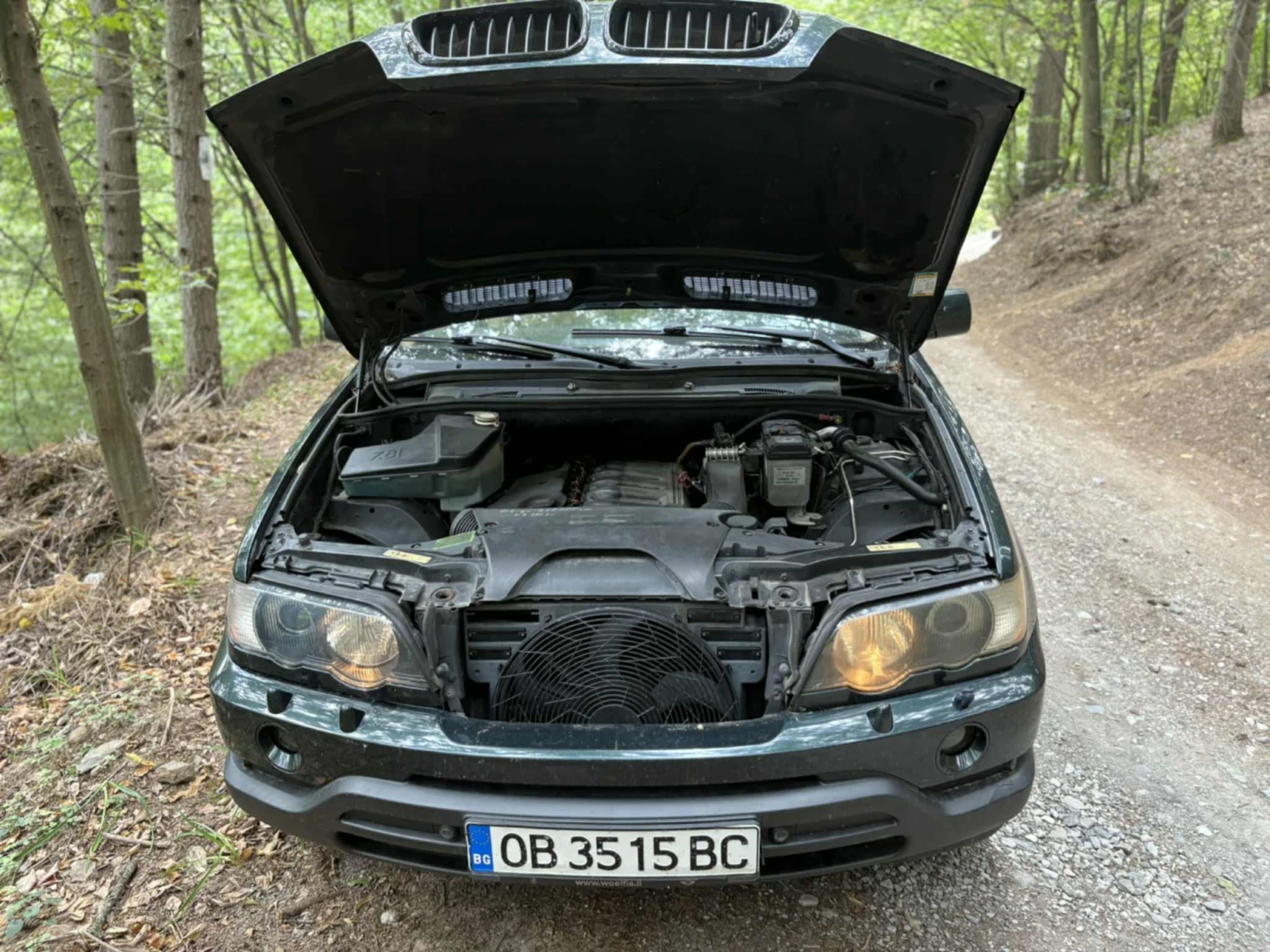 BMW X5, снимка 6 - Автомобили и джипове - 56456684
