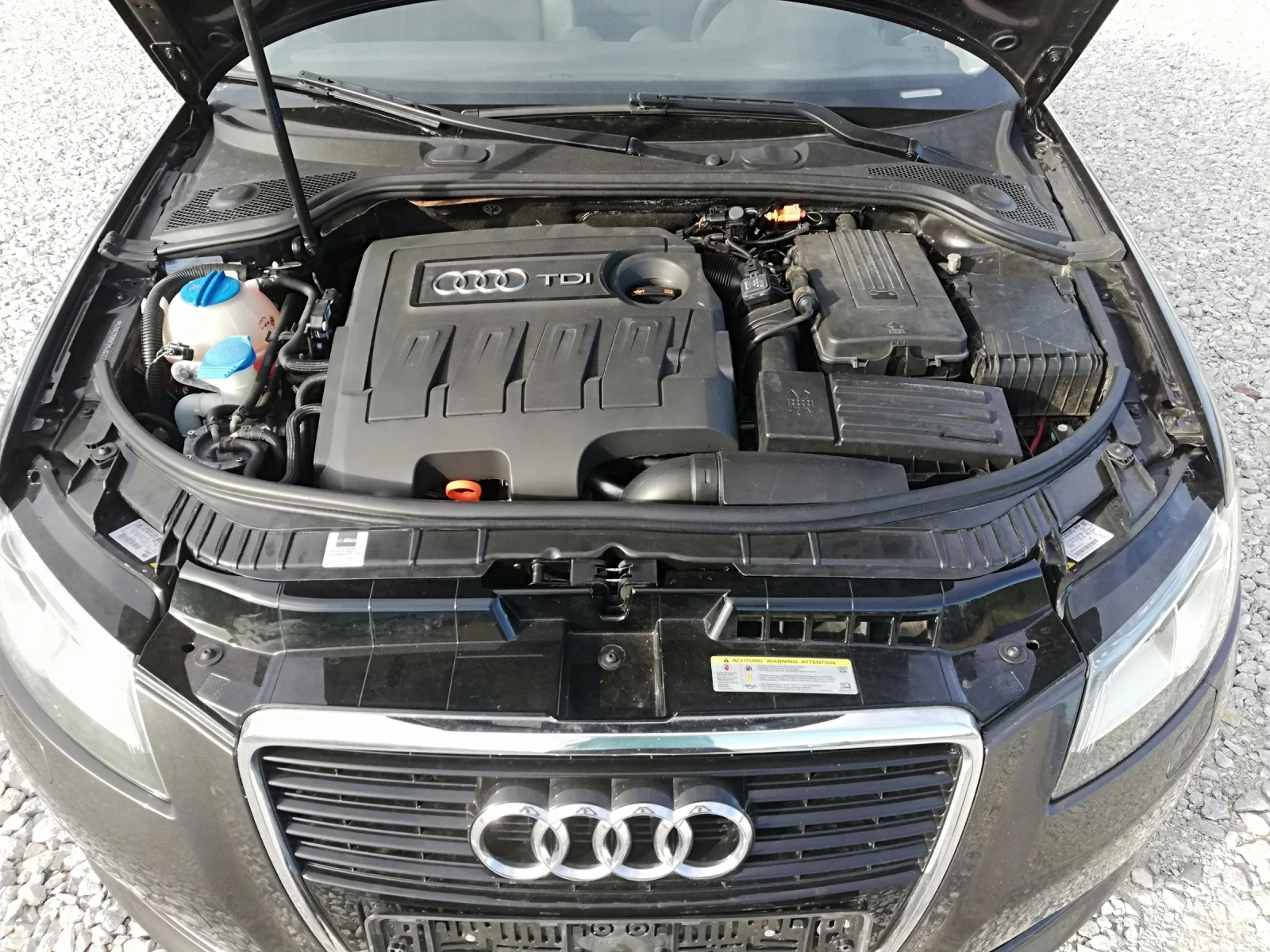 Audi A3 1.6TDI S LINE NAVI KLI. | Mobile.bg   13