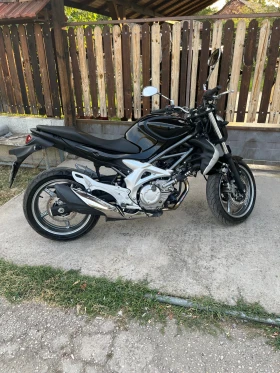  Suzuki Gladius