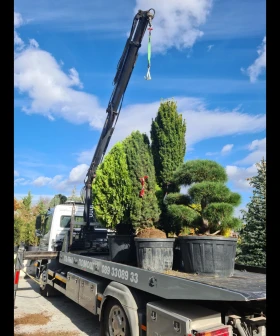 Mercedes-Benz Atego 1318 | Mobile.bg    16