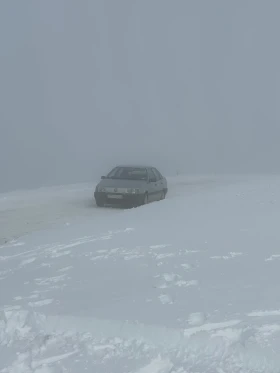 VW Passat - 1000 € / 1955.83 лв. - 81444641 3