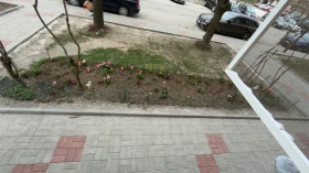 Hyundai Bayon undefined | Auto.bg — изображение 9