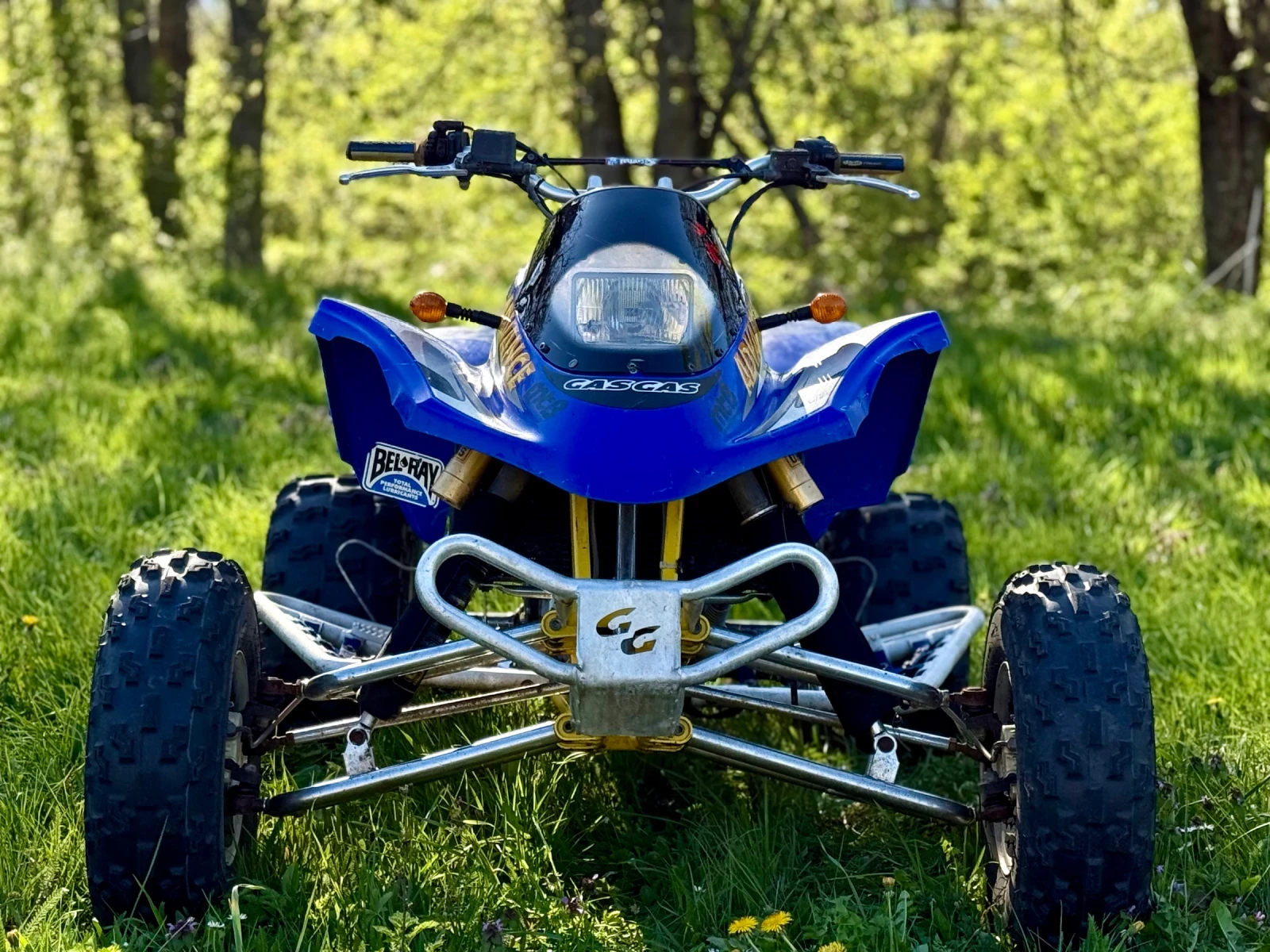 GASGAS EC WILD 450 - изображение 2