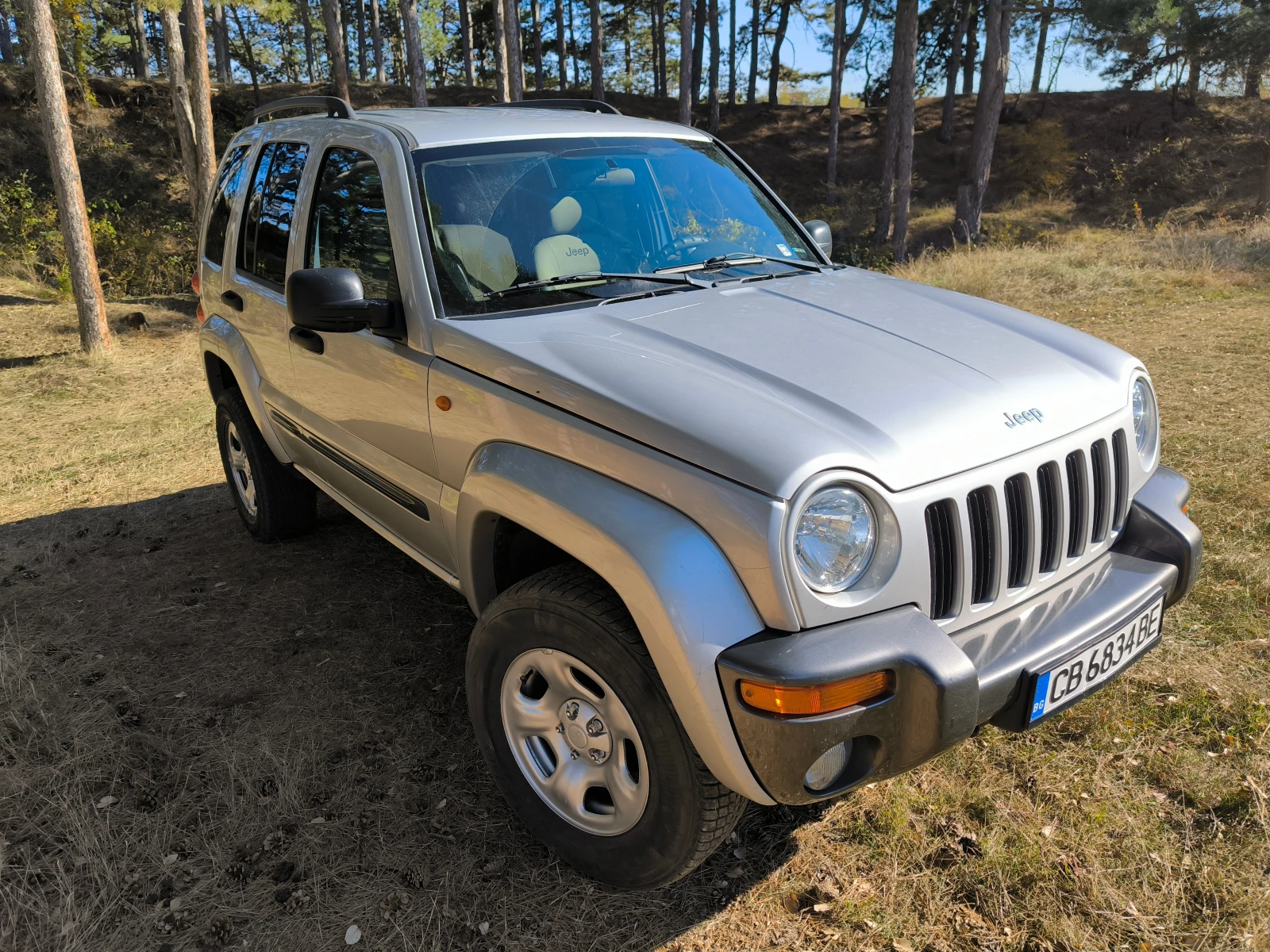 Jeep Cherokee 2.5 CRD - изображение 2