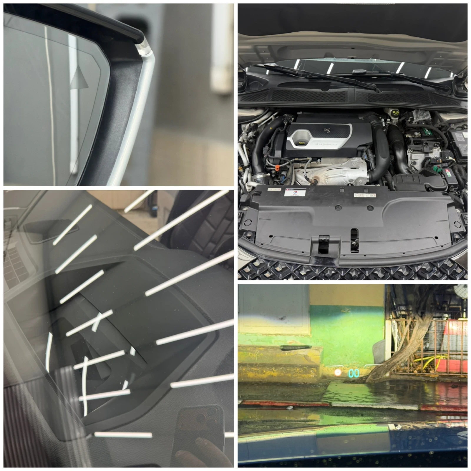 DS DS 4 ��� ���� �� ������ ��� ������ ���� ����! | Mobile.bg � ����������� 14