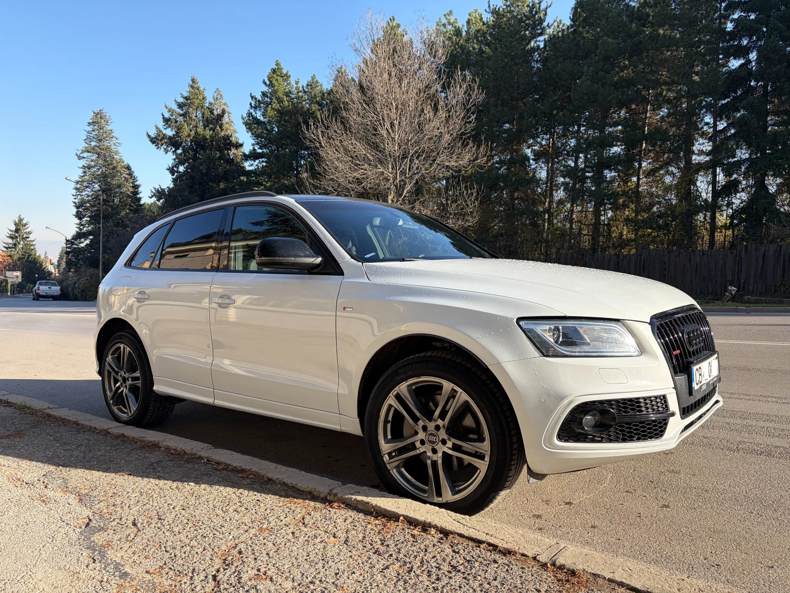 Audi Q5 3.0 V6 Supercharged, S-line, 8 ZF - Промоция до 31 - изображение 4