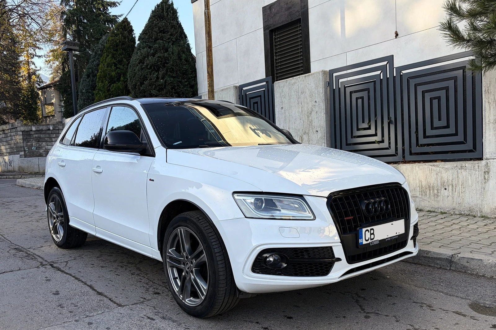 Audi Q5 3.0 V6 Supercharged, S-line, 8 ZF -   31 | Mobile.bg   1