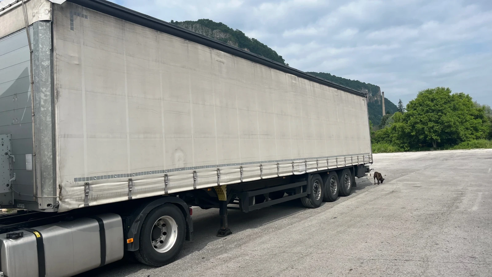  Schmitz | Mobile.bg   5