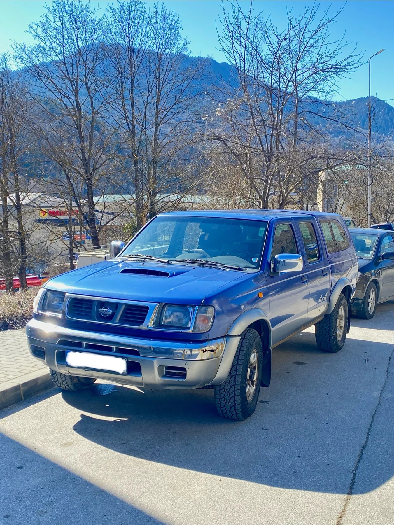 Nissan Navara TD25TI - изображение 2