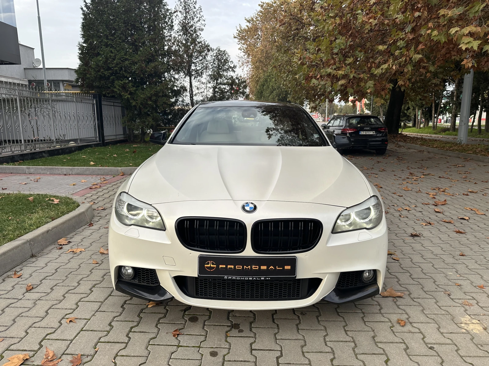BMW 530 d M paket - изображение 2